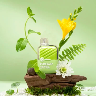 OXBAR Mini 600 Puffs Disposable Vape